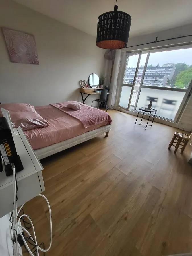 Appartement tranquille cocooning parking terrasse Saint-Etienne  Saint-Etienne (Loire)